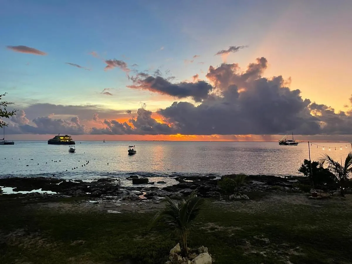 Grand Cozumel Hotel & Diving