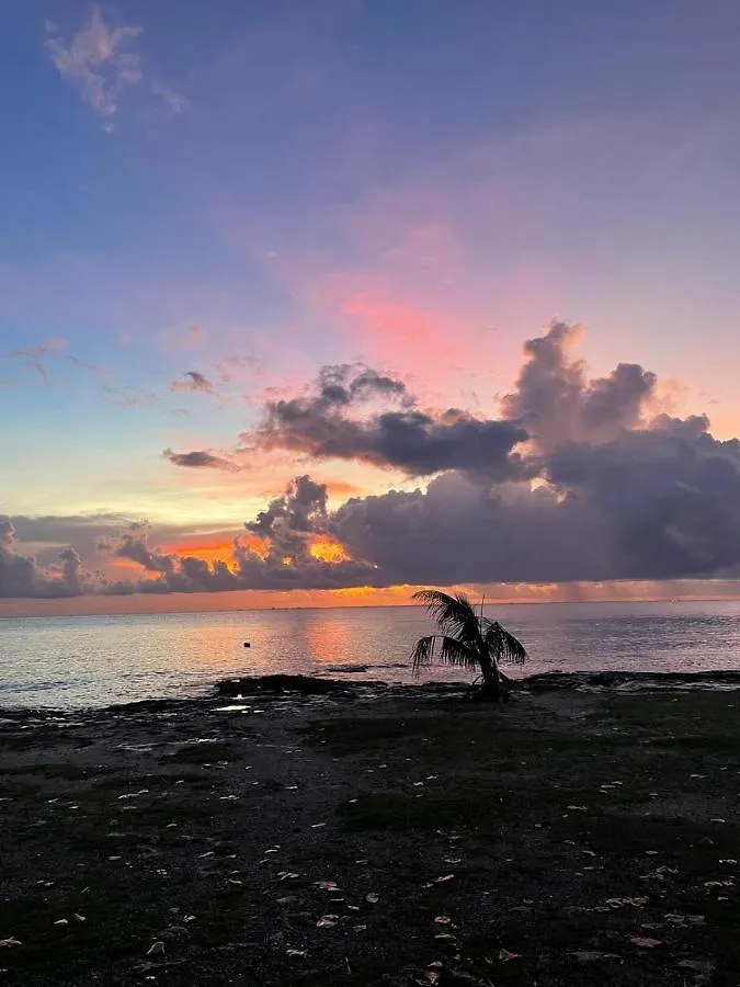 Grand Cozumel Hotel & Diving